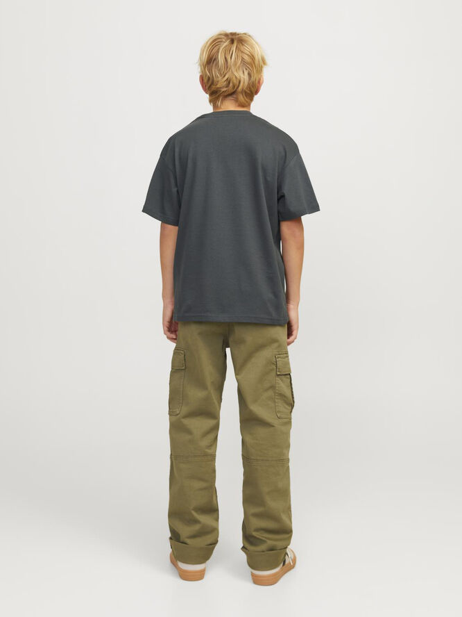 Jack & Jones JORVESTERBRO TEE SS CREW NECK NOOS Forest river/loose