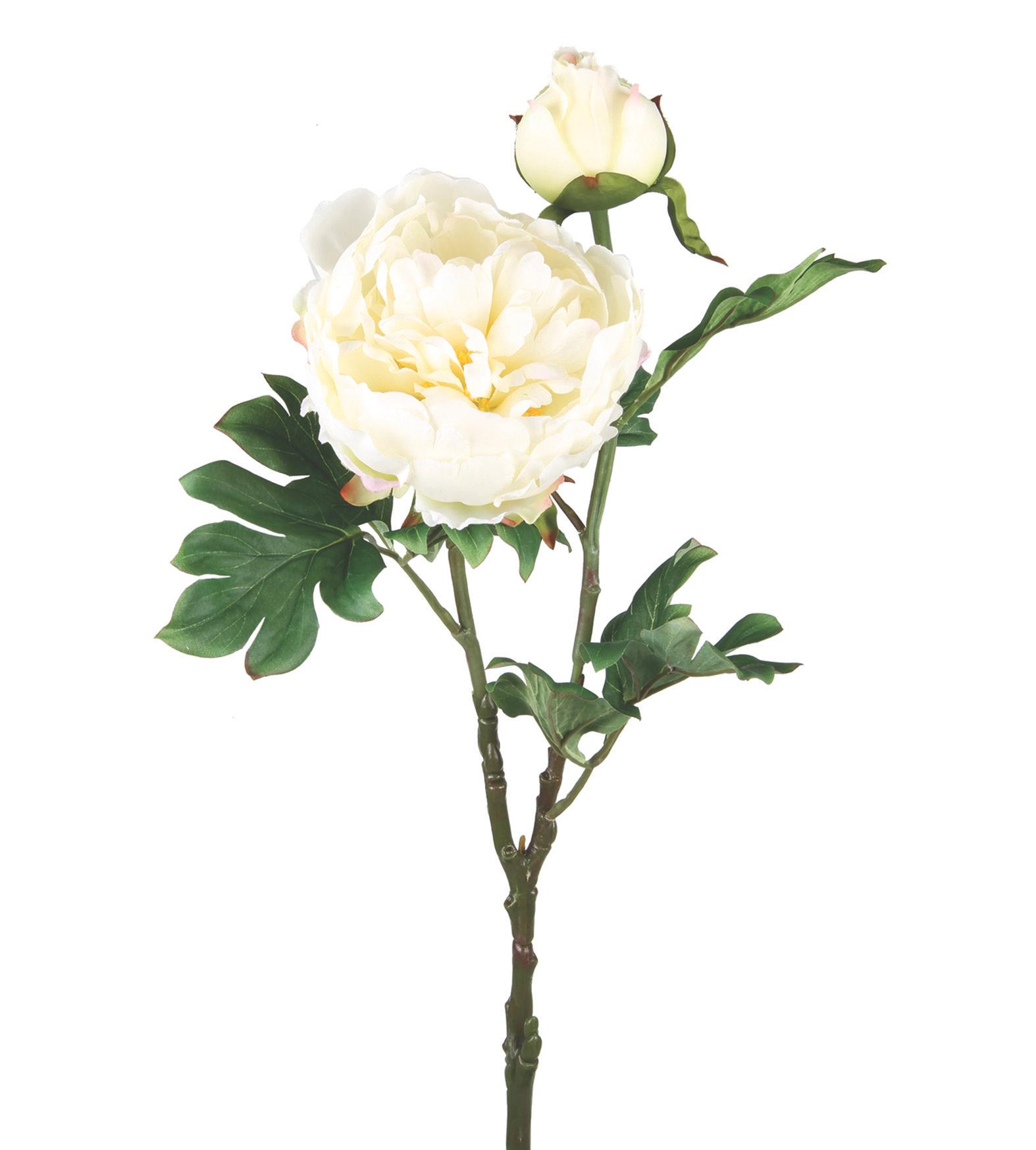 BRANCHE PIVOINE H.69CM BLANC