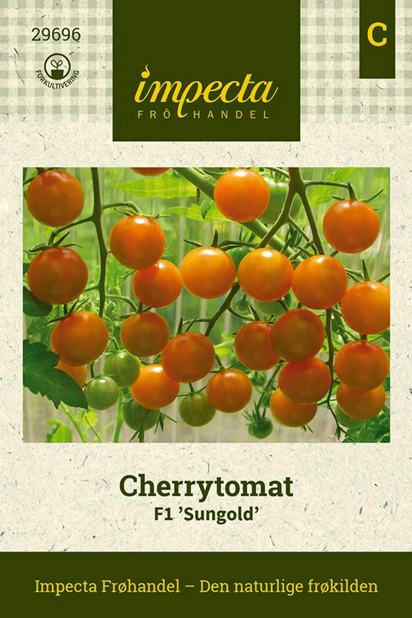 Solanum lycopersicum F1 'Sungold' Cherrytomat F1 'Sungold'