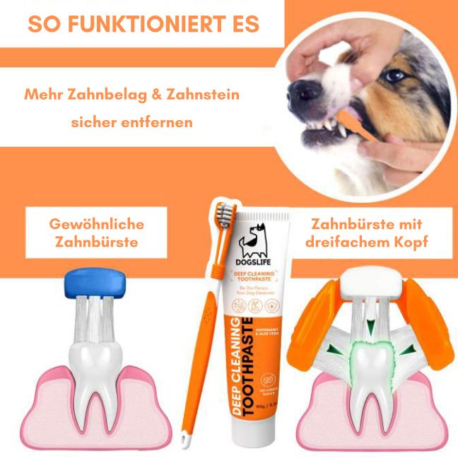 Dental Kit - DogsLife
