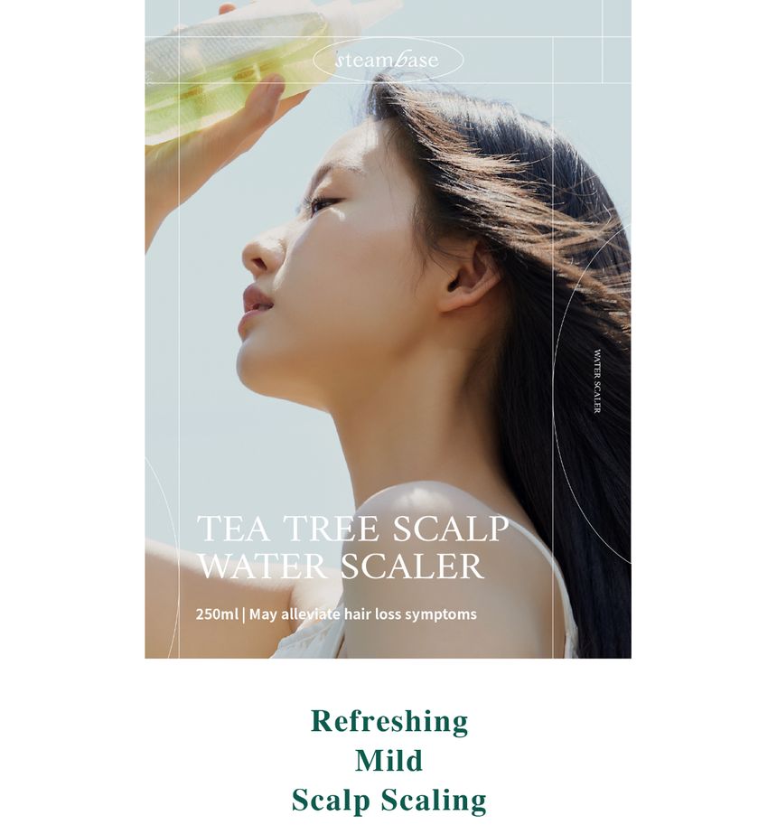 STEAMBASE - Tea Tree Scalp Water Scaler