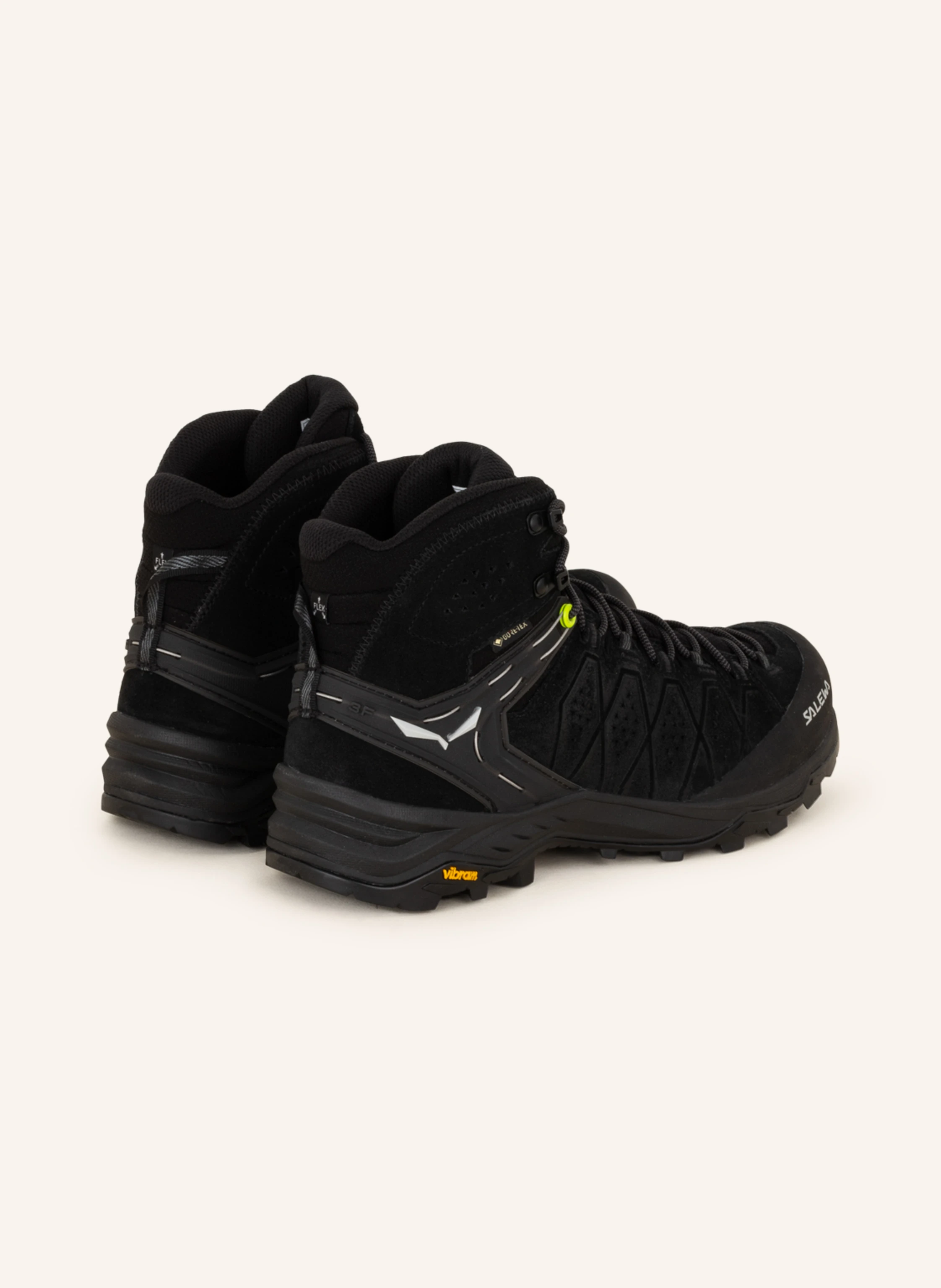 SALEWA Wanderschuhe ALP TRAINER 2 MID GTX