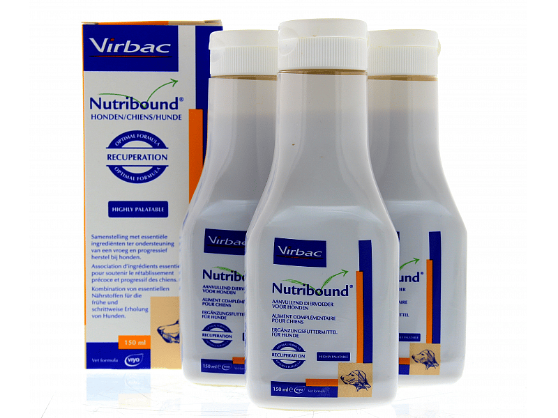 Nutribound Viyo Recuperation Hond 1 x 150 ml