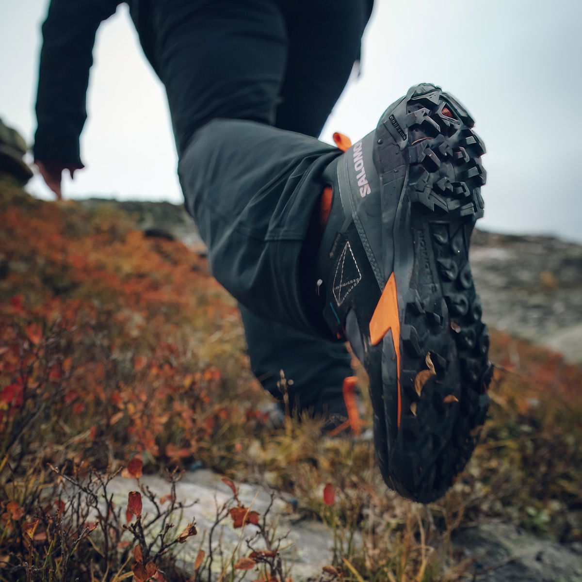 Salomon X Ultra Alpine GTX vandresko, herre (Blue Nights)