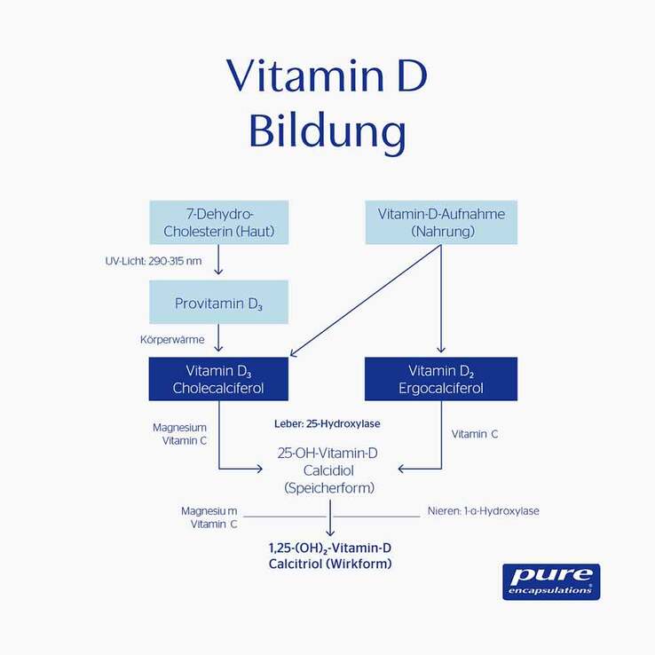Pure Encapsulations Vitamin D3 Liquid, 22.5 ml