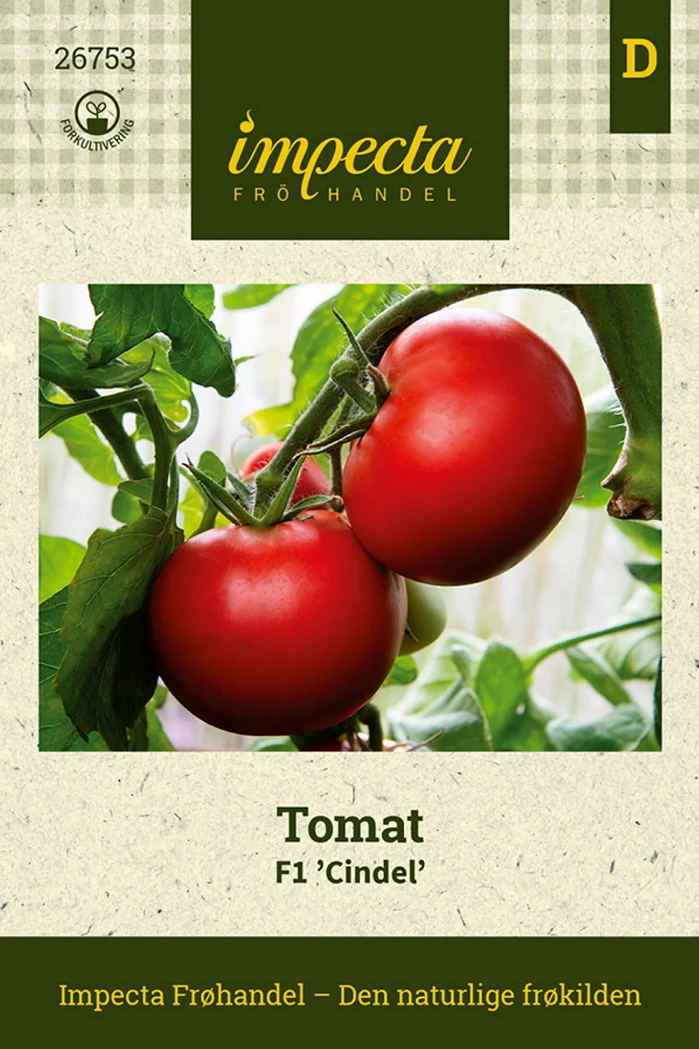 Solanum lycopersicum F1 'Cindel' Tomat F1 'Cindel'