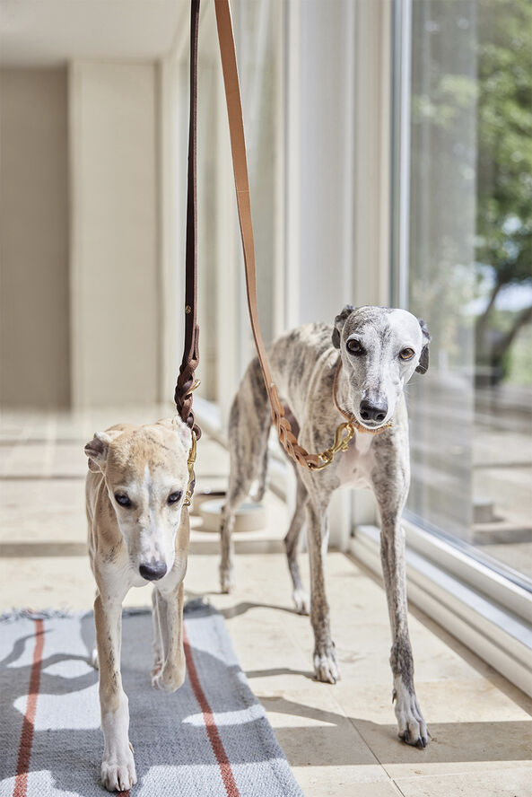 OYOY Living Design Robin Hundesnor - M/L Natur
