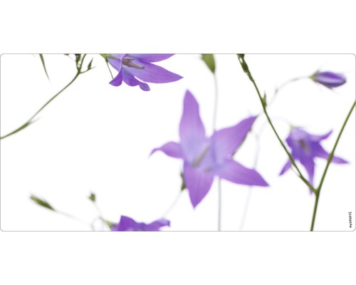 Badkamerwandpaneel mySPOTTI aqua bellflower 90x45 cm