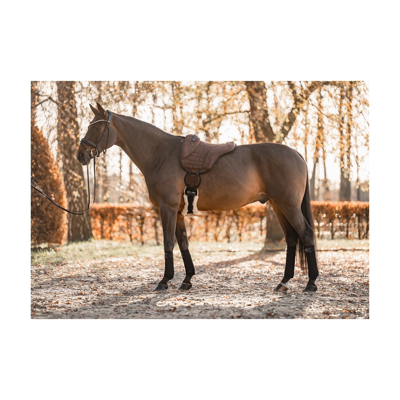 Equinate Reitpad Harper aus synthetischem Wildleder braun L