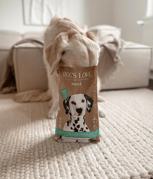 DOG'S LOVE Trockenfutter für Hunde Adult