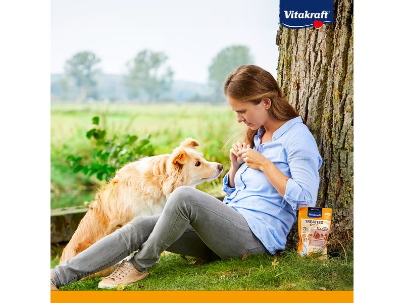 Vitakraft Leckerli Treaties Minis, 48 g Snack für Hunde