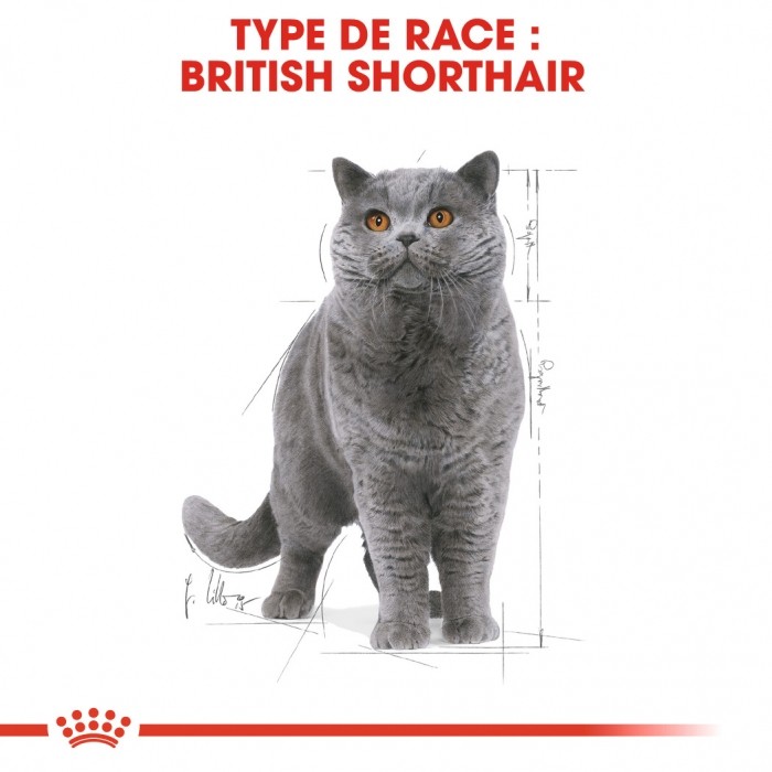 Royal Canin British Shorthair Adult