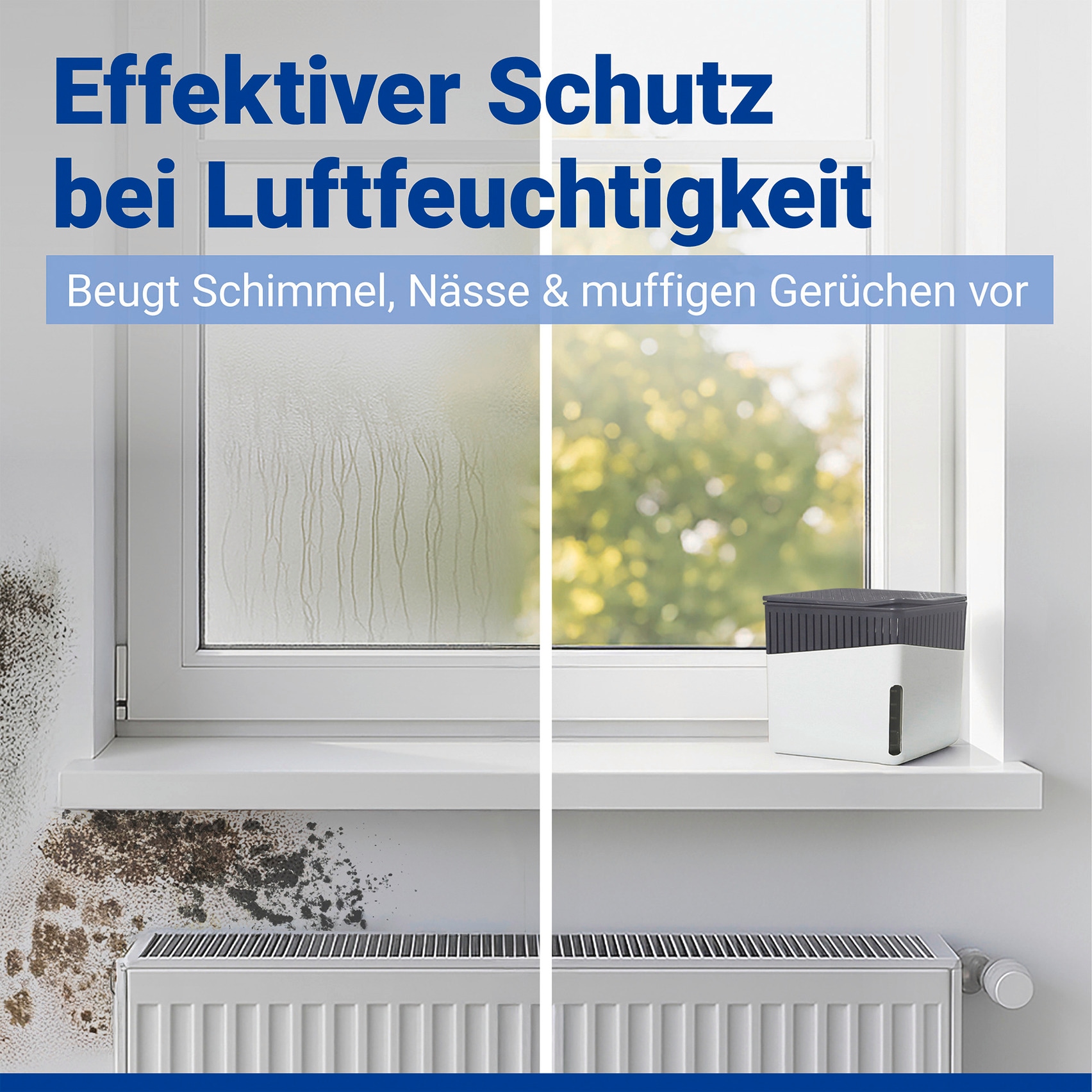 WENKO Luftentfeuchter »Cube« für 40 m³ Räume 2 x 500 g