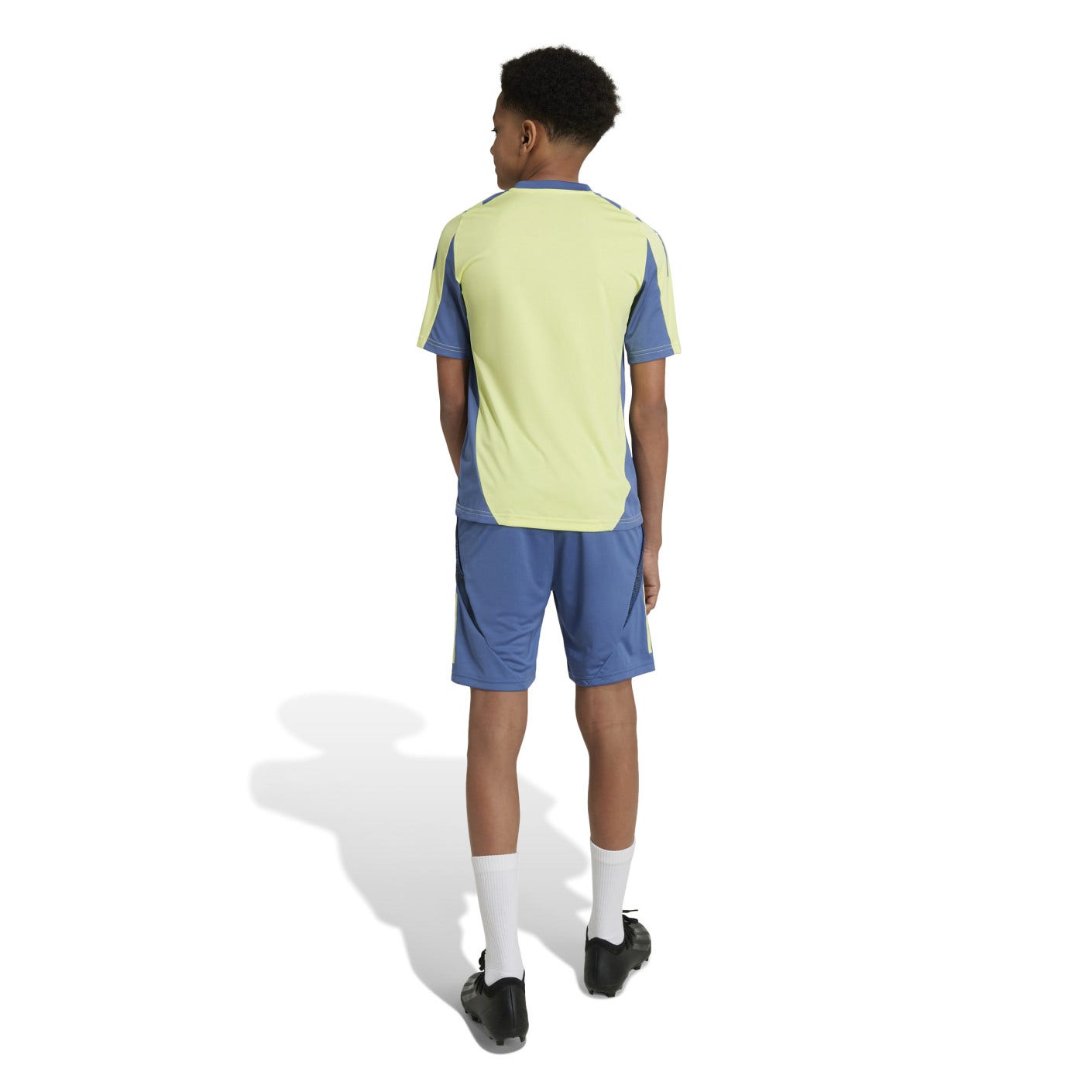 adidas  Ajax Tiro 24 Training Shorts Kids