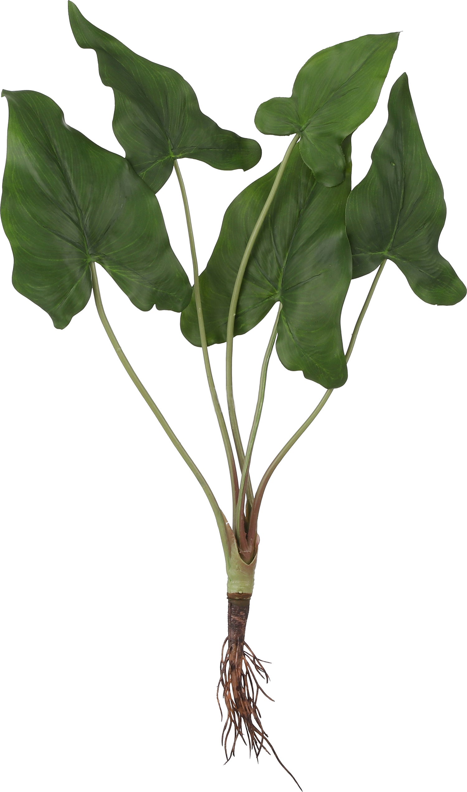 Mica Decorations kunstplant Syngonium 15 x 23 x 42 cm