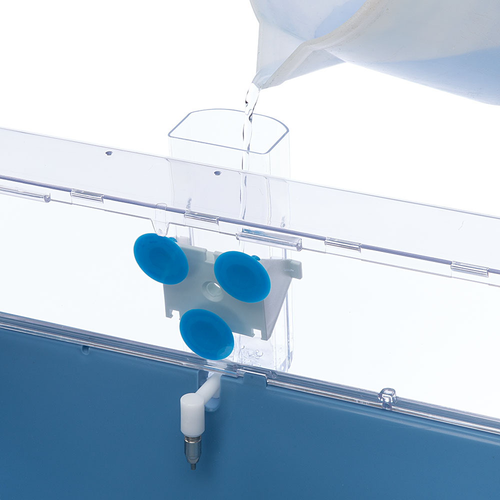 Ferplast abreuvoir pour cochons d'inde et rats sippy 4674 medium, bouteille d'eau distributeur pour rongeurs capacité 300 cc,