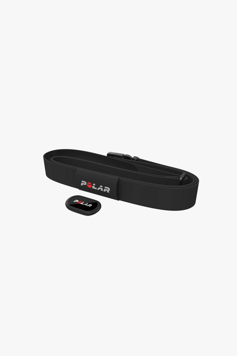 Polar Equine H10 Traber Herzfrequenzmesser