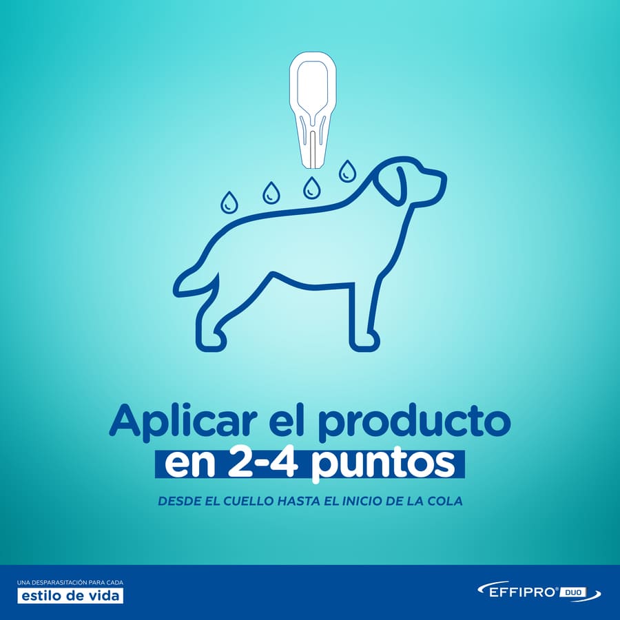 Pipetas antiparasitárias Effipro Duo para cães