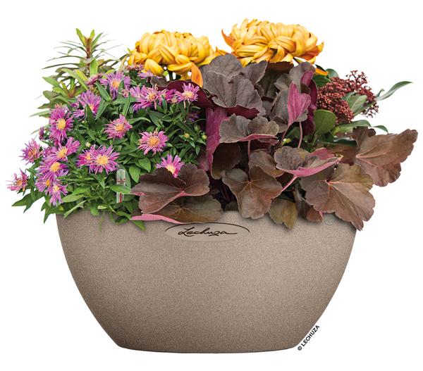 LECHUZA® Kunststoff-Schale 'Cubeto Stone',