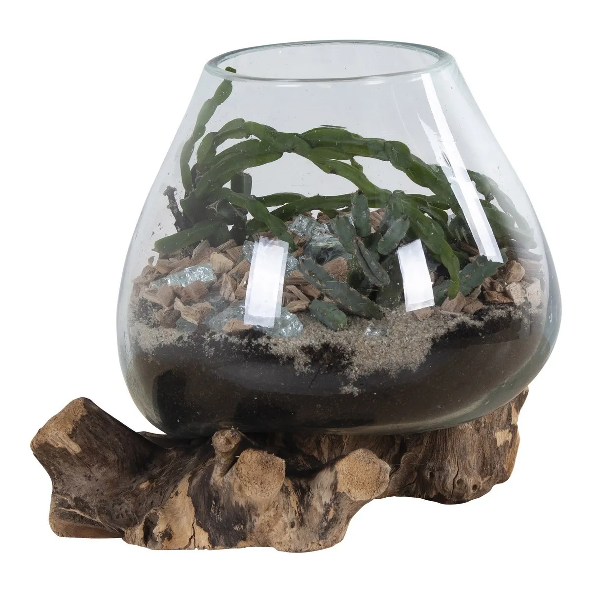 Epikasa Terrarium San Marron