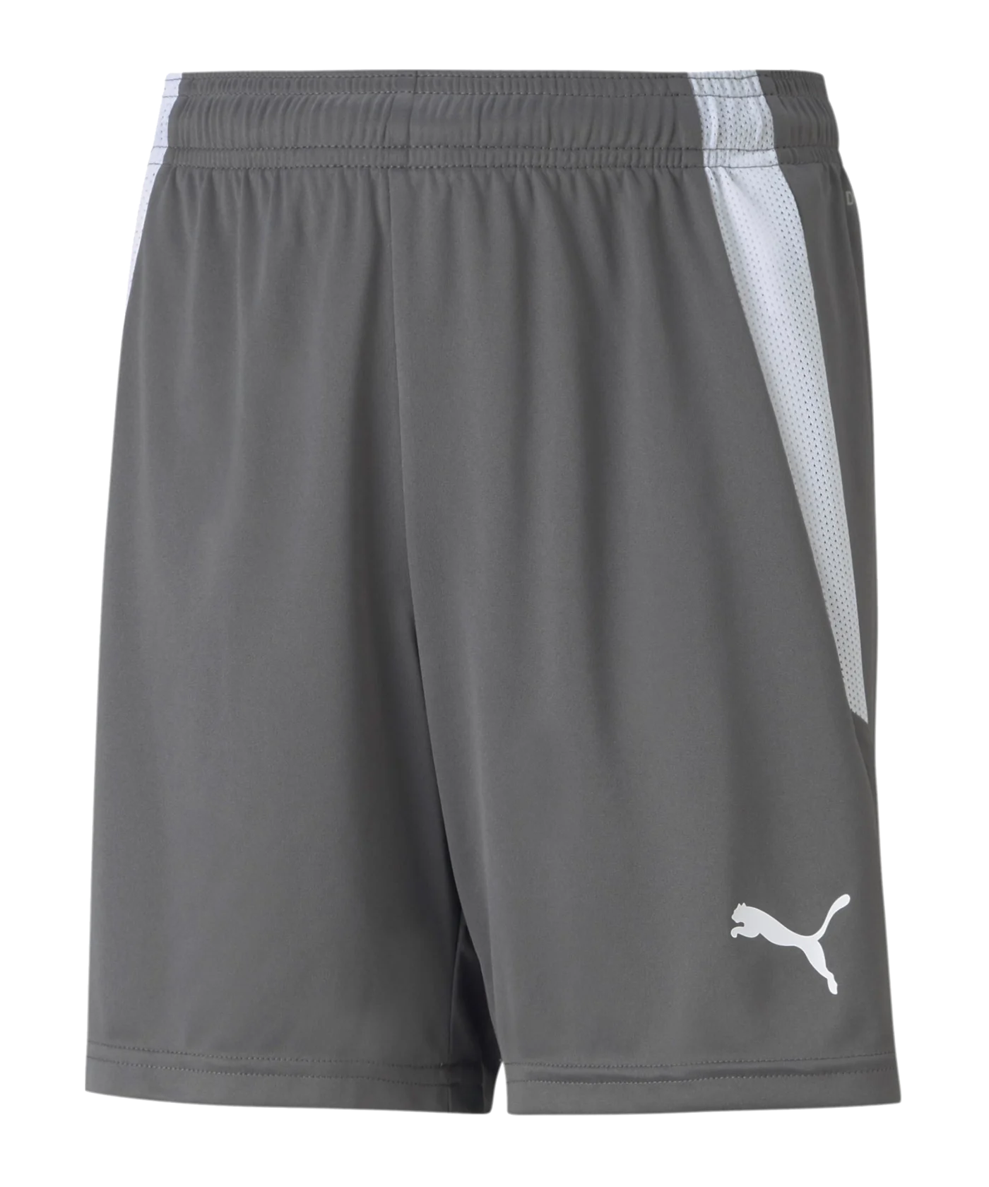PUMA teamLIGA Short Kids Grau Weiss F13