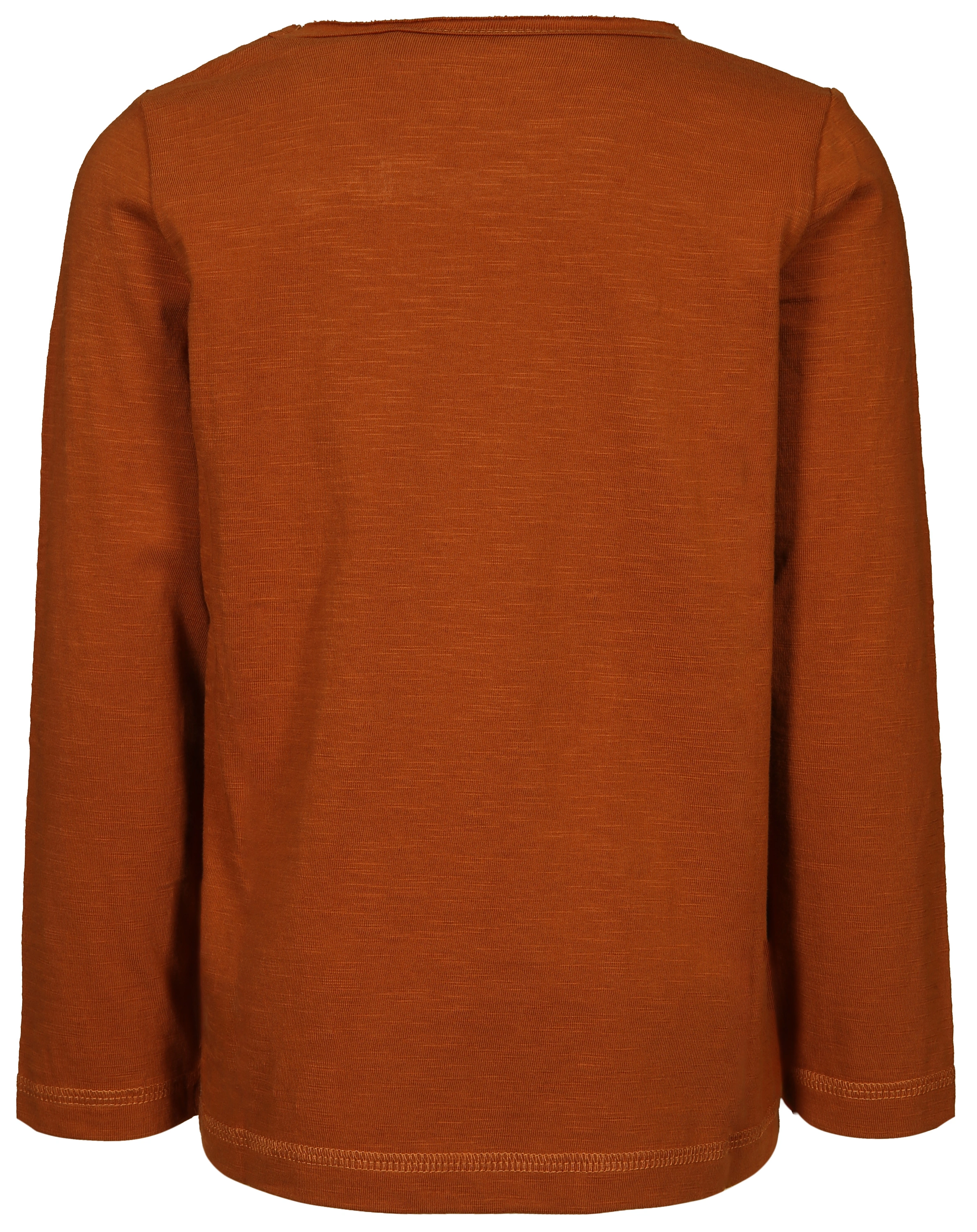 Langarmshirt STAY FAST in glazed ginger