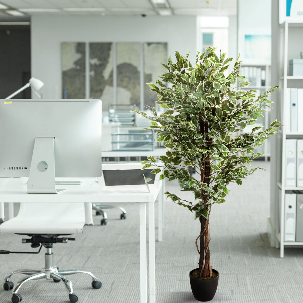 Kunstpflanze FICUS Kunststoff, Stoff hjh OFFICE