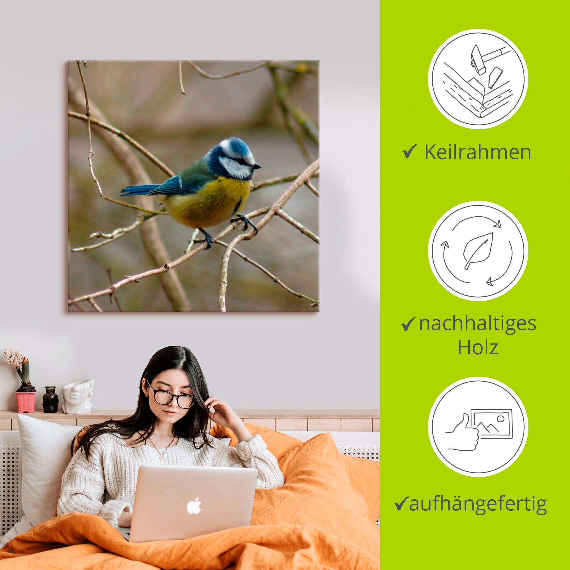 Artland Wandbild »Blaumeise« Vögel 1 Stk. tlg. als Leinwandbild, Wandaufkleber in verschied. Grössen