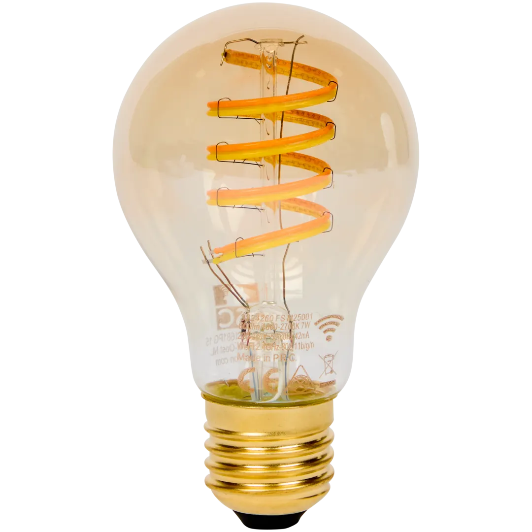 Ampoule LED connectée LSC Smart Connect