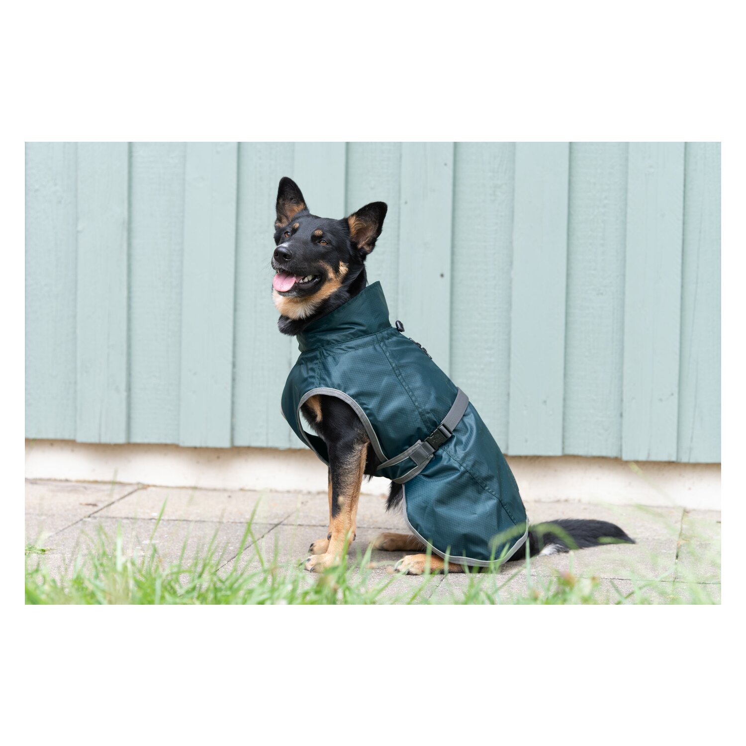 pawberry Hunde-Regenmantel Novara  - teal
