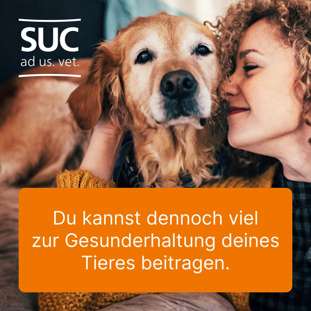 Coenzyme compositum® ad us. vet.