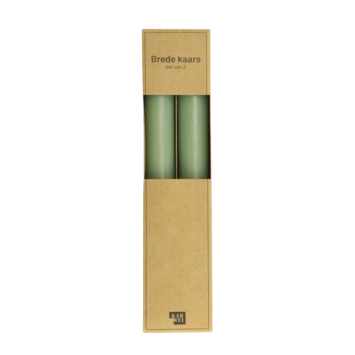 Kaars diner breed mint 28 cm - set van 2