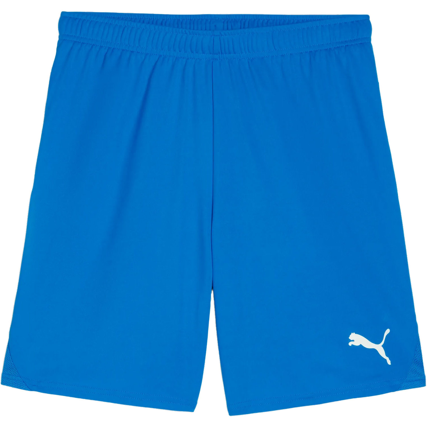 Puma GLORY Keeperstenue