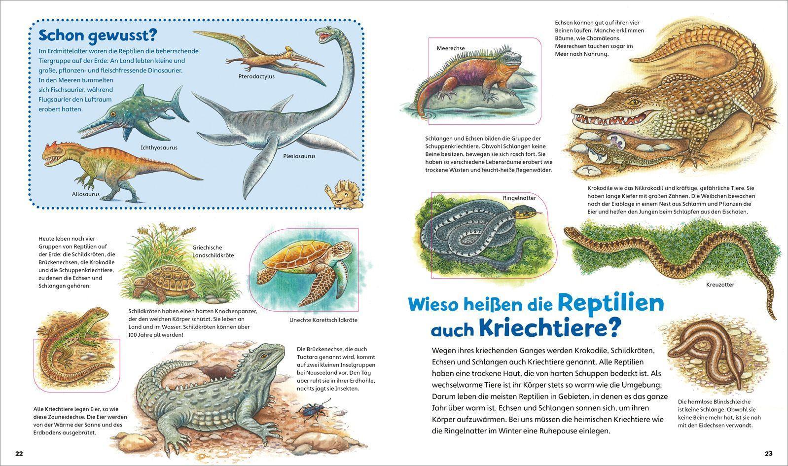WAS IST WAS Junior Alles lebt! Von klitzeklein bis riesengroß