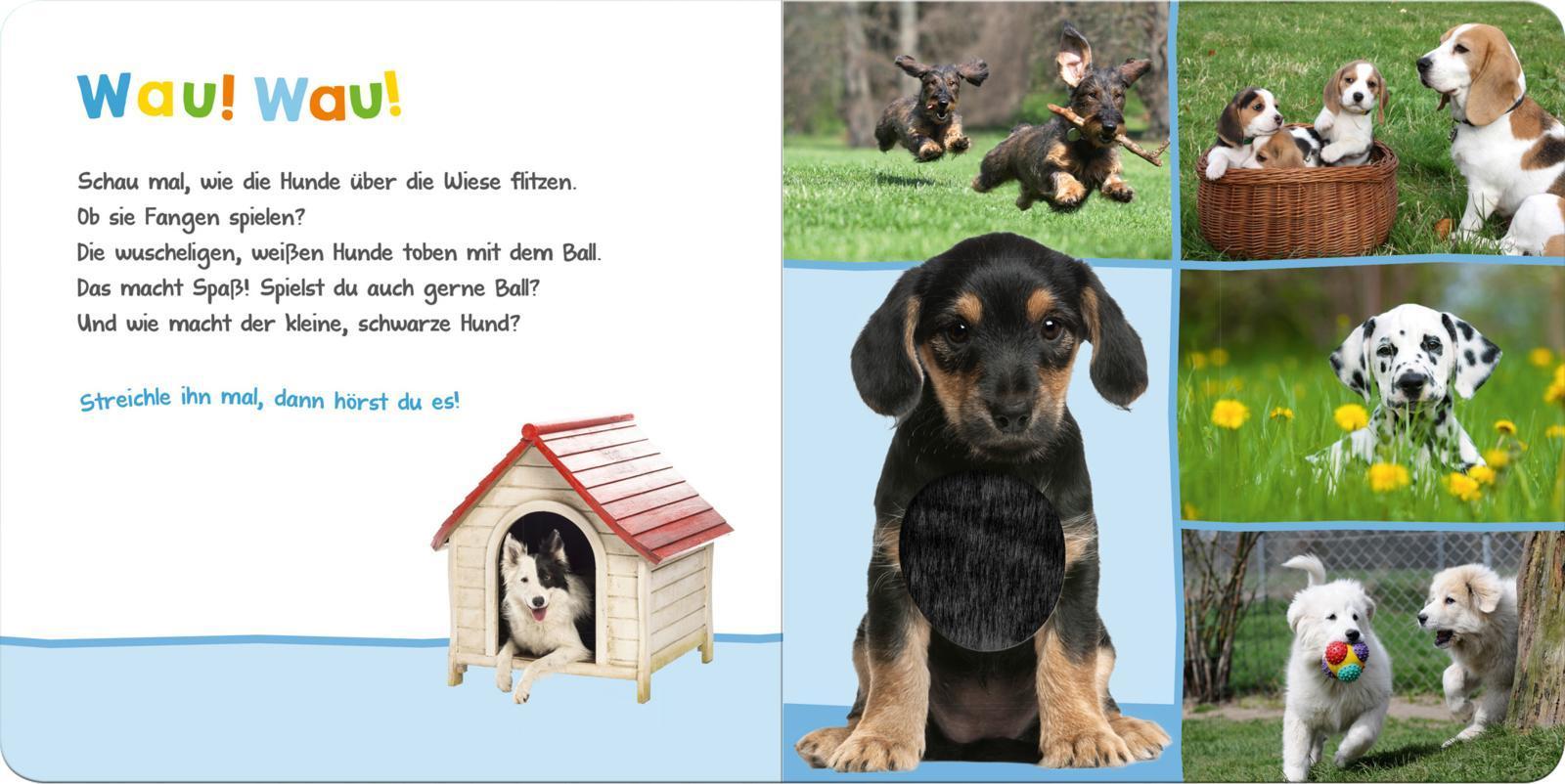 Hör mal rein, wer kann das sein? - Lieblingstiere