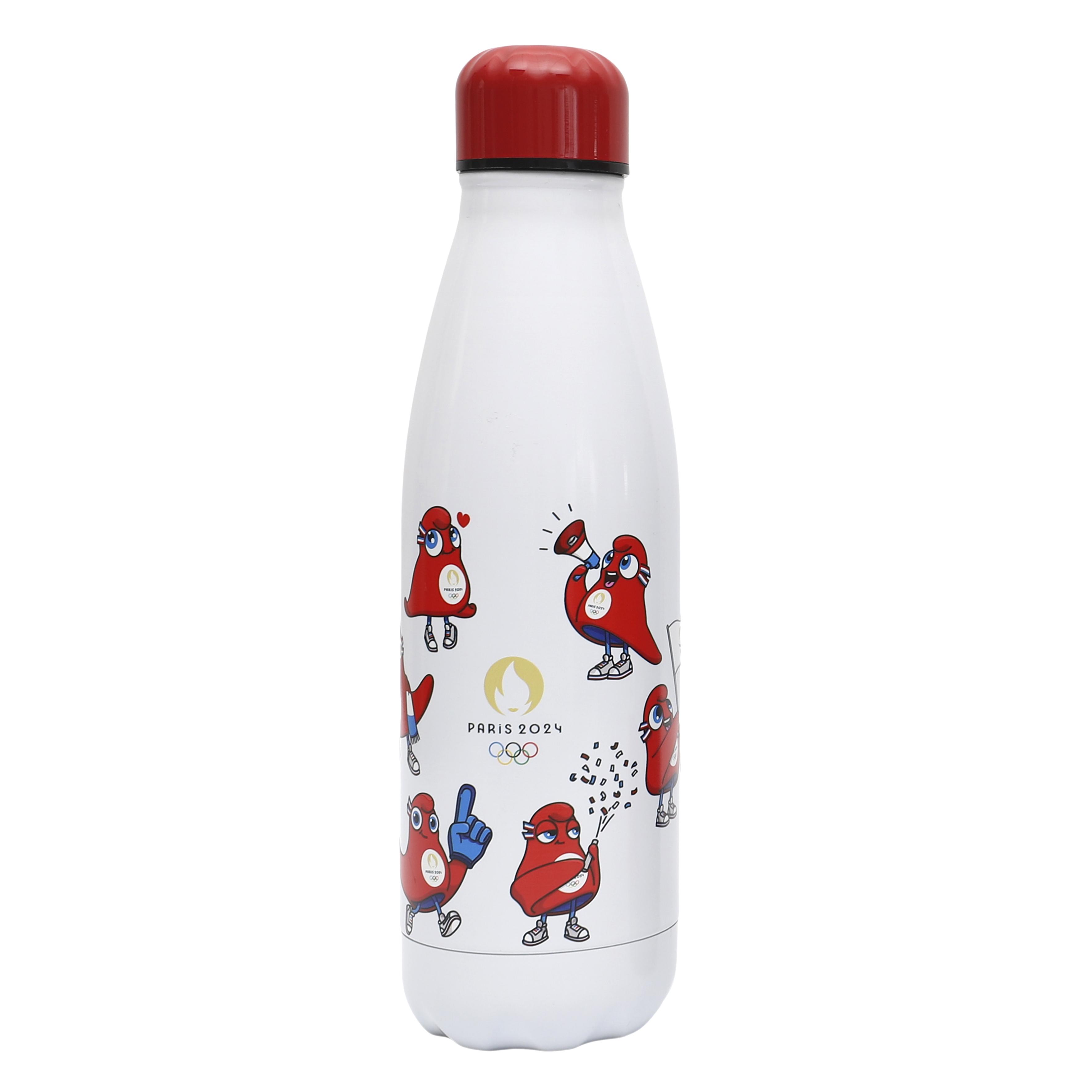 BOUTEILLE ISOTHERME MASCOTTE TRIOLOGIE 50CL