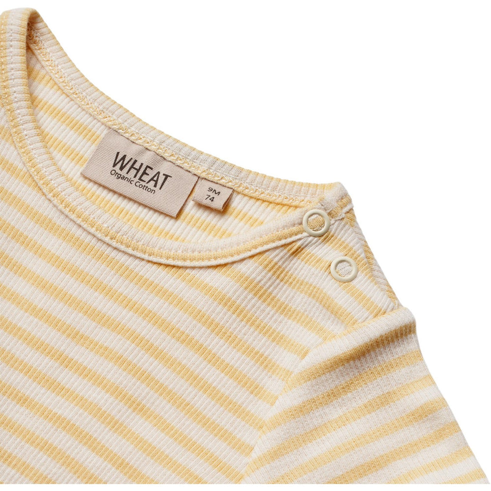 Køb Wheat Apricot Stripe Body S/S Elisa