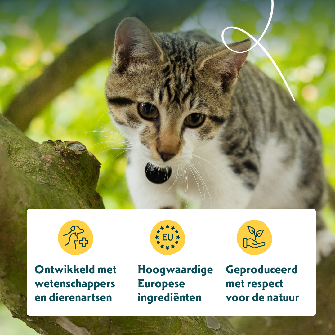 Yarrah - Natvoer Kat Blik Paté met Kip en Vis Bio
