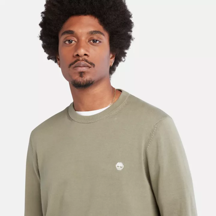 Pull à col rond Williams River pour homme en vert clair