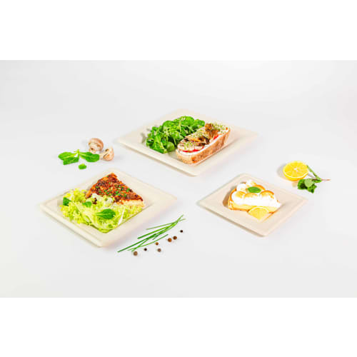 Assiette fibres végétales compostable carrée naturelle 200x200mm Alphaform