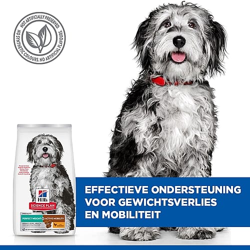 Hill's Science Plan Perfect Weight & Active Mobility Medium Breed Adult Hondenvoer met Kip | 12 kg | 12130.1