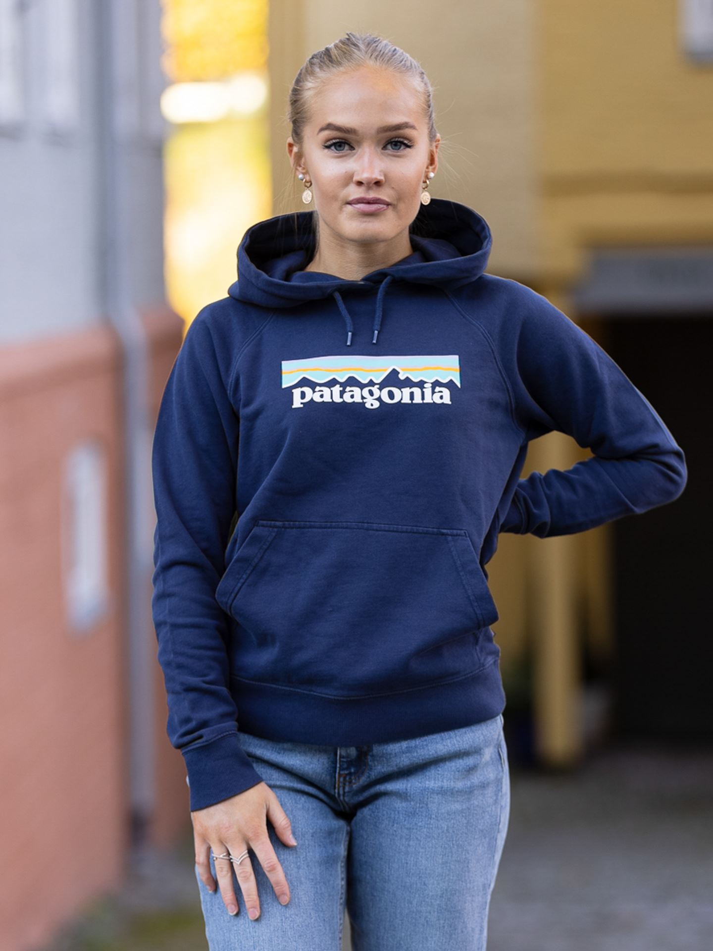 Pastel P-6 Logo Organic Hoody