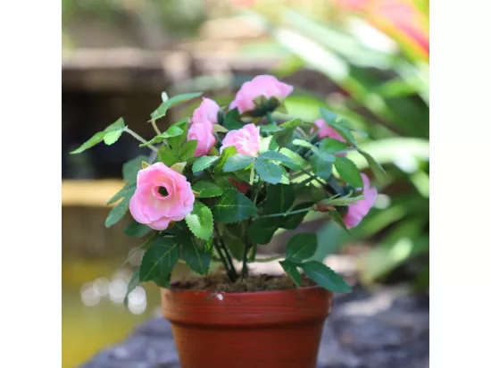 Rosier plante fleur artificielle extérieur cimetière tissu rose 23 cm