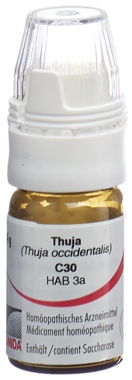 Omida Thuja Glob 30 C mit Dosierhilfe 4 g