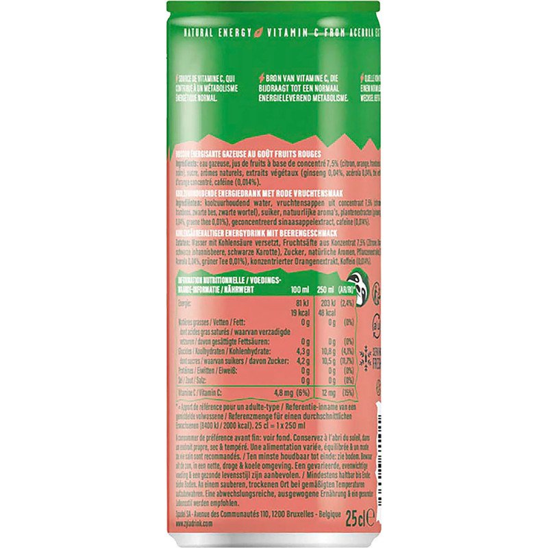 Zyla Vitality Red fruits, Green tea & Ginseng 25 cl - 24 canettes