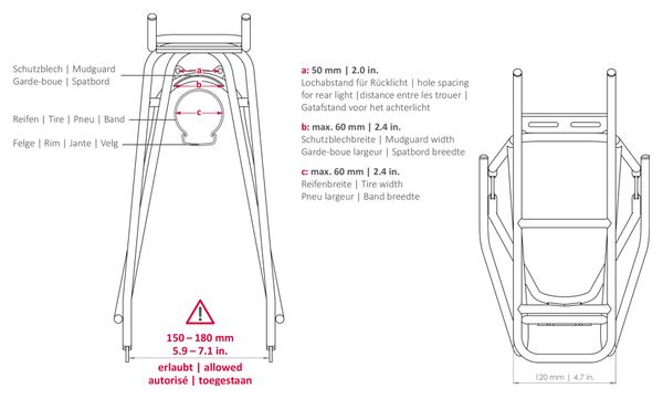 Porte-Bagages Arrière Tubus Cosmo Acier Inoxydable