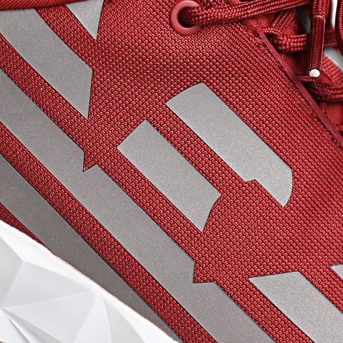 Baskets X8X033-XCC52 Red Dahlia Silver