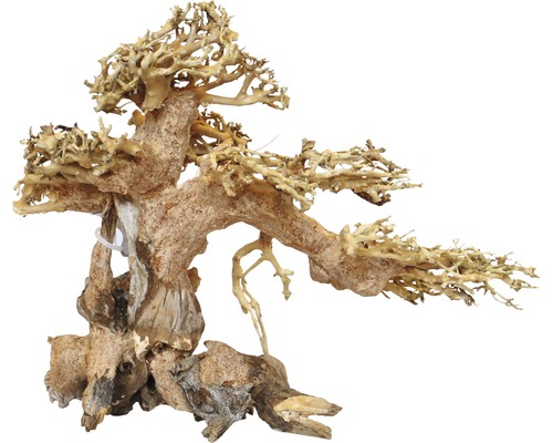 Aquariumdecoratie Aqua Bonsai M 22-30 cm