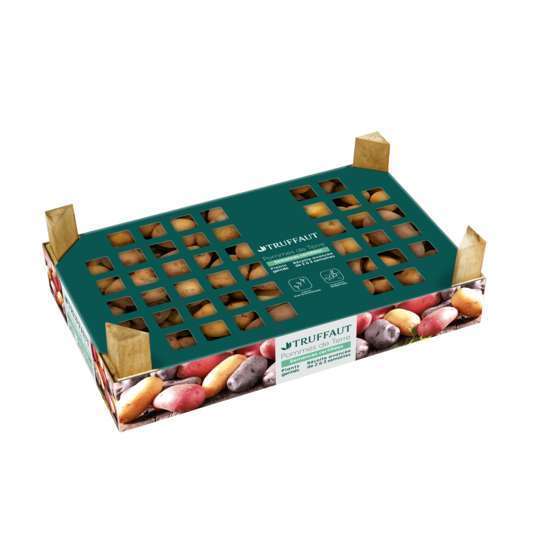 Plants de pommes de terre 'Rosabelle' en clayette x100