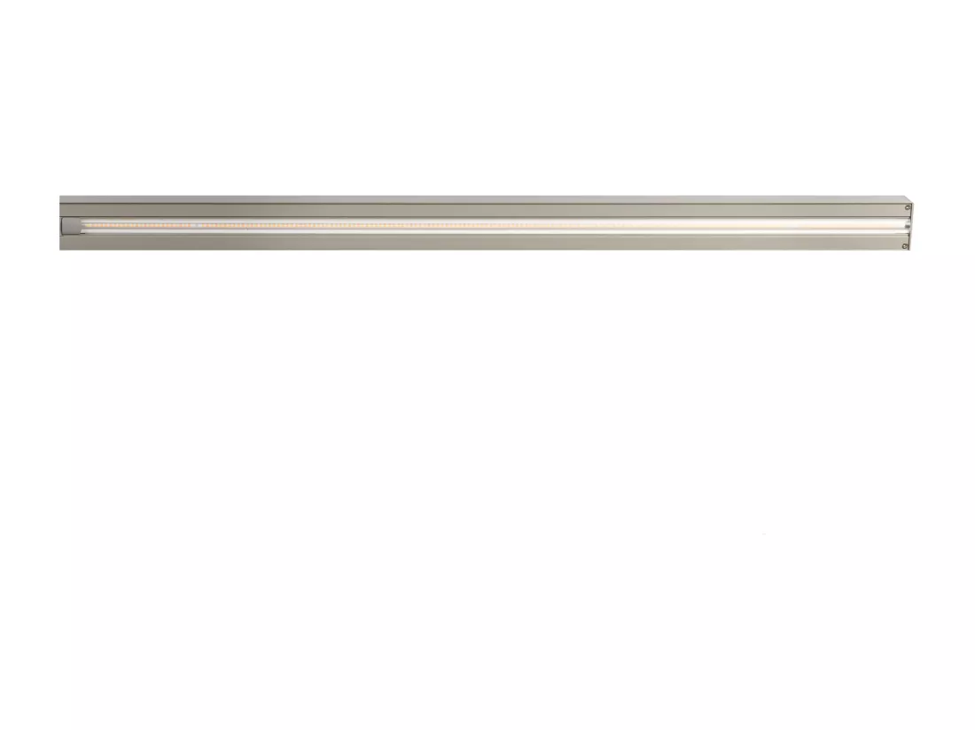 Lampe de bureau LED à pince VOLANS Avec variateur Métal Argenté